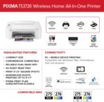 Canon PIXMA TS3720 Wireless All-in-One Printer (6671C022)