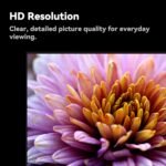 FPD 32 Inch Smart TV, Tizen OS Compatible with Samsung TV Plus, 720p HD WiFi Television with Dolby Audio, HDR 10, HDMI, Bluetooth, Flat Screen Television Built-in Google Cast...