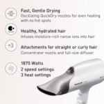 Panasonic Nanoe Salon Hair Dryer with Oscillating QuickDry Nozzle, Blow Dryer with Diffuser and Concentrator Attachments, 3 Speed Heat Settings for Easy Styling and Healthy Hair...